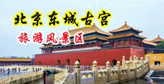 黄色网站免费看大鸡巴中国北京-东城古宫旅游风景区